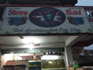 Shree Sai Fish Aquarium And Pet Shop 5