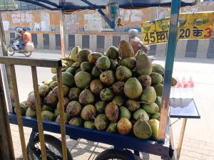 Patle Ji Nariyal Pani Wala 1