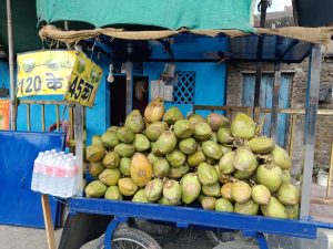 Patle Ji Nariyal Pani Wala 4