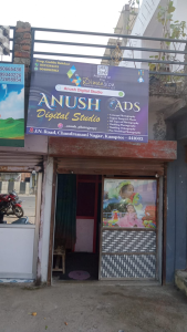 Anush digital studio 1